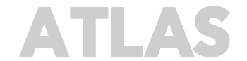 light logo