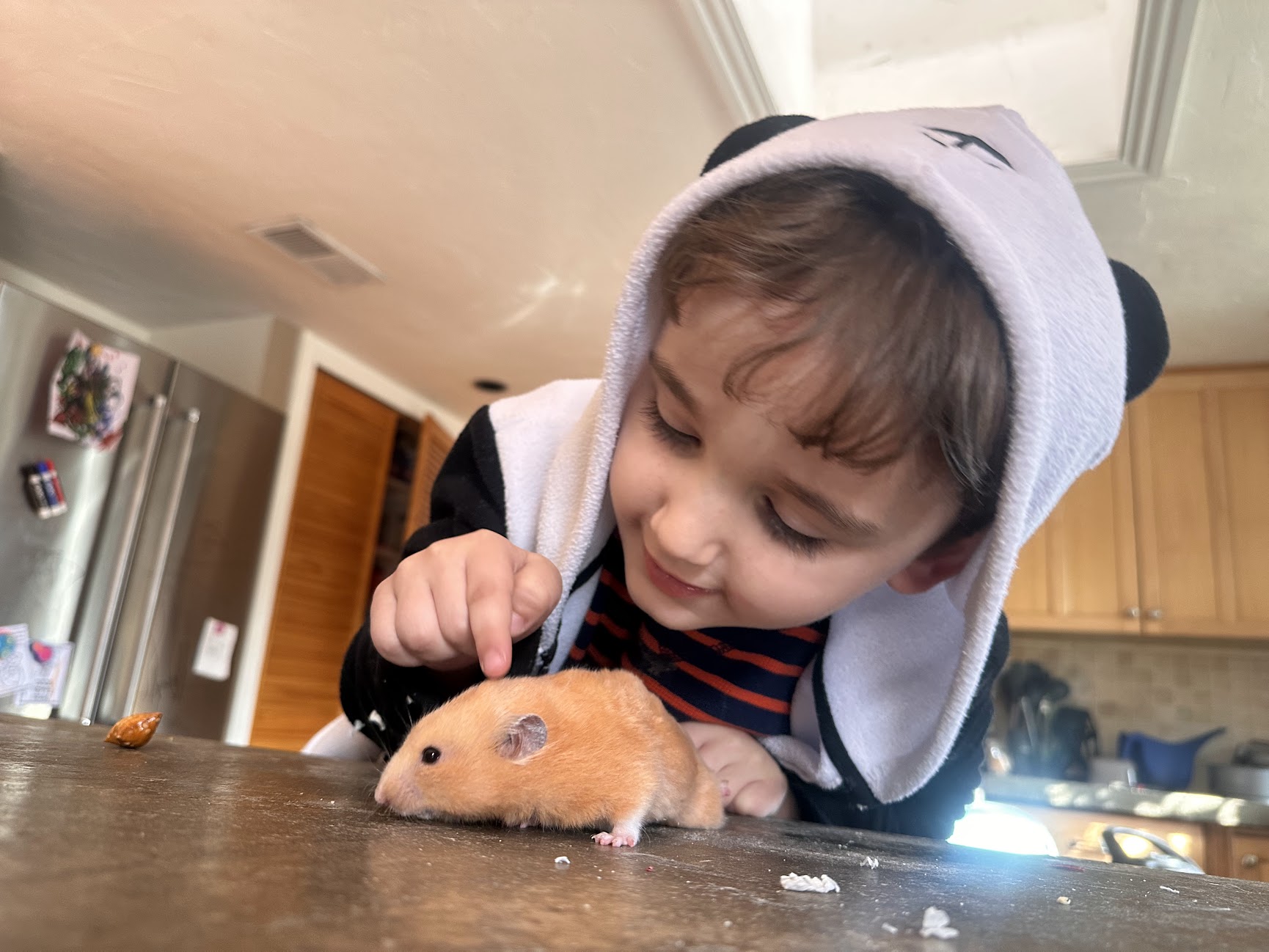 Peaches the hamster, the very first pair