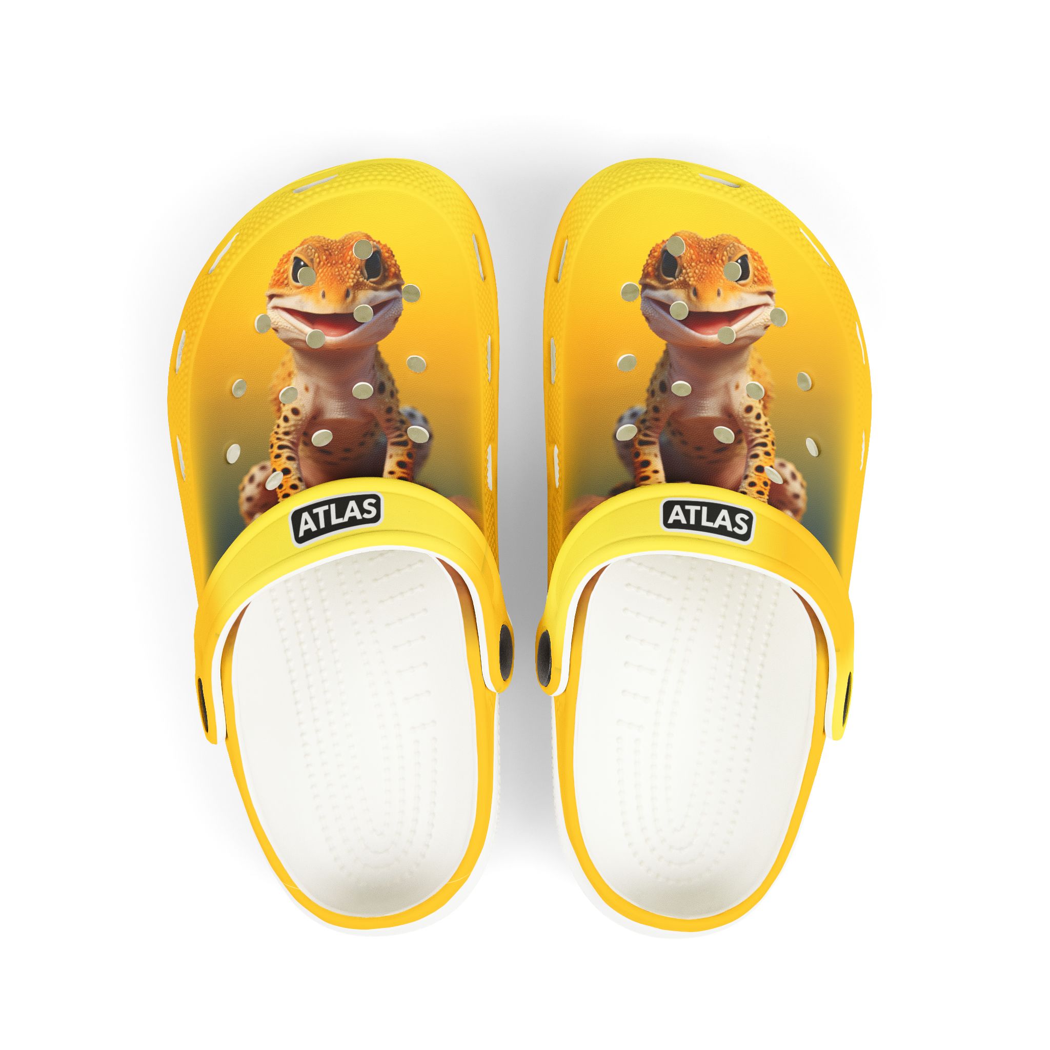 Leopard Gecko